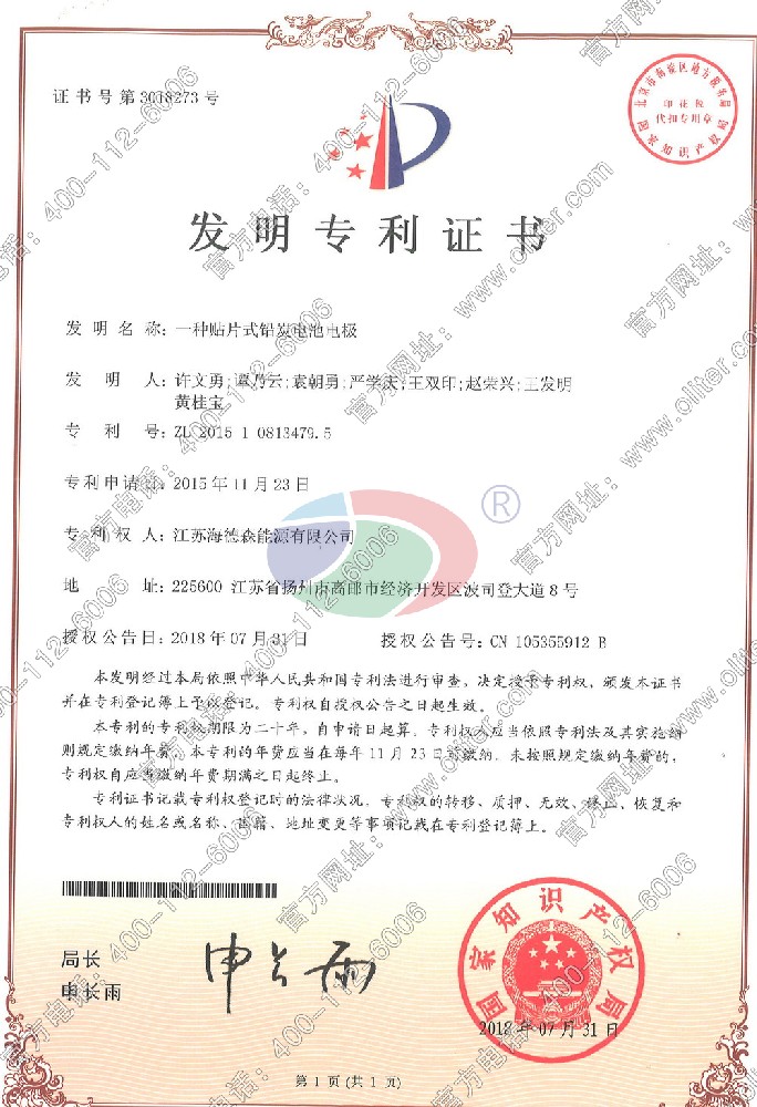 一种贴片式铅炭电池电极